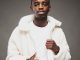 Nkulee501 Malumes Mp3 Download