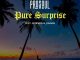 ProSoul Da Deejay Pure Surprise Mp3 Download