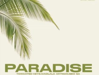 Toxicated Keys Paradise Mp3 Download