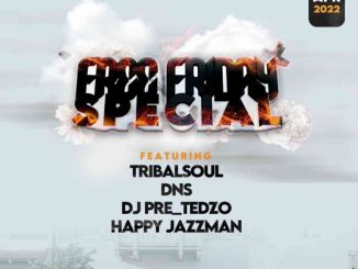 Tribal Soul Free Friday Special EP Download