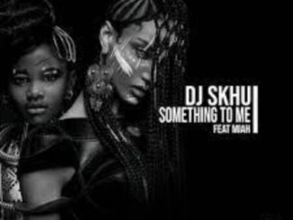 DJ Skhu Something To Me Mp3 Download