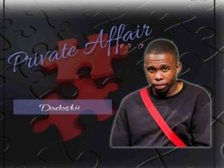 Dodoskii Private Affair 15.0 Mix Download