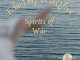 Echo Deep Spirits Of War Mp3 Download