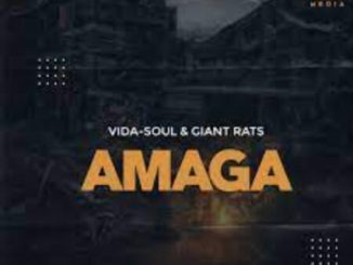 Vida-soul Amaga Mp3 Download