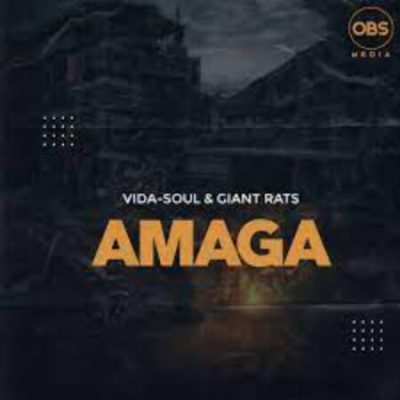 Vida-soul Amaga Mp3 Download