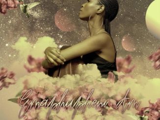 Yallunder Emaphupheni Am Lyrics