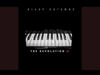 BigUp Harambe Lets Drink And Be Merry Mp3 Download