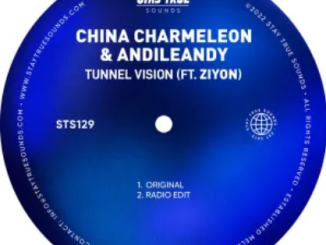 China Charmeleon Tunnel Vision Mp3 Download