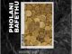 Country-Boy Pholani Bafethu Mp3 Download