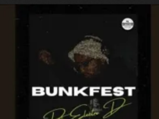 DJ Electro D Bunkfest Mp3 Download