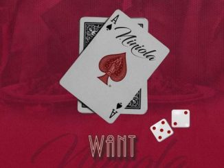 Niniola Want Mp3 Download