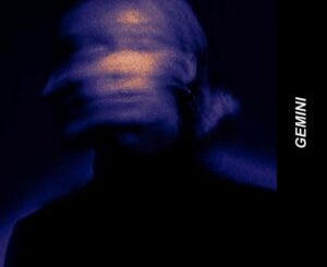Bornsinnv GEMINI EP Download
