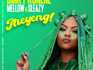 Dinky Kunene Areyeng Mp3 Download