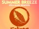 N’Dinga Gaba Summer Breeze Mp3 Download