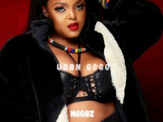 Ngobz uDbn Gogo Mp3 Download