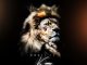 Tumza Thusi Manzi Phansi Mp3 Download