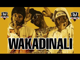 Wakadinali Geri Inengi Mp3 Download