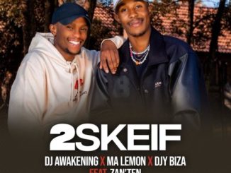 DJ Awakening 2Skeif Mp3 Download