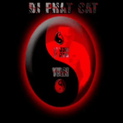 DJ Phat Cat Yin Yan Mp3 Download