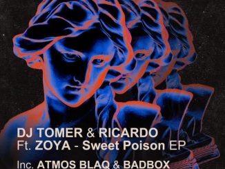 DJ Tomer Sweet Poison Mp3 Download