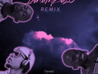 Genetic Souls Inkumbulo Mp3 Download