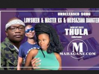 Lowsheen Thula Mp3 Download