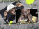 Mbuso De Mbazo Laba Te Mp3 Download