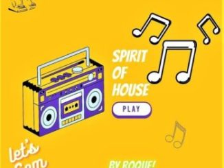 Roque Spirit Of House Mp3 Download