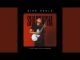 Sino Msolo Shandapha Mp3 Download