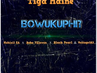 Tiga Maine Bowukuphi Mp3 Download
