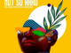 Vesant Q Not So Hard Mp3 Download
