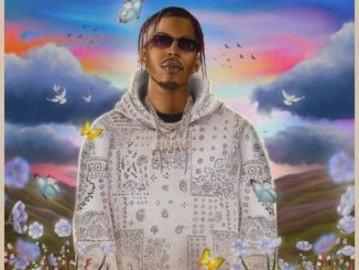 Flvme Germander II Album Download