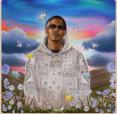 Flvme Germander II Album Download