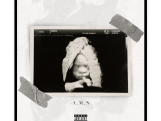 Cassper Nyovest A.M.N Album Download