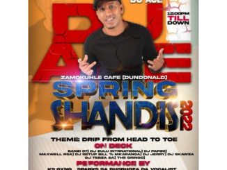 DJ Ace Spring Shandis 2022 Mix Download