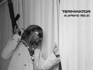 DJ Medna Terminator Amapiano Remix Mp3 Download