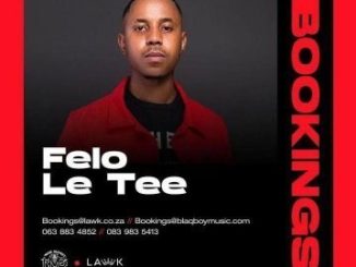 Felo Le Tee Bassbin Levol Mp3 Download