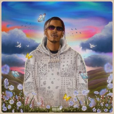 Flvme Vibezzzzz Lyrics