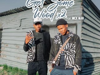 Get Some Wood Sgija Revisit Mp3 Download