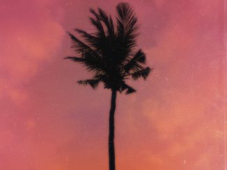 Jay Jody Purple Palm Trees Mp3 Download