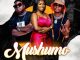 Kaytee Mushumo Mp3 Download