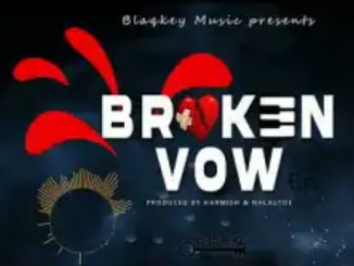 Mellow & Sleazy Broken Vow Instrumental Mp3 Download