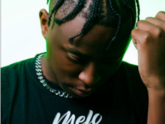 Meloproducedit Trap Is Back EP Tracklist