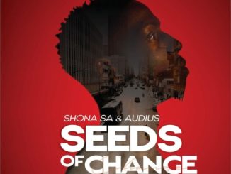 Shona SA Totems Mp3 Download