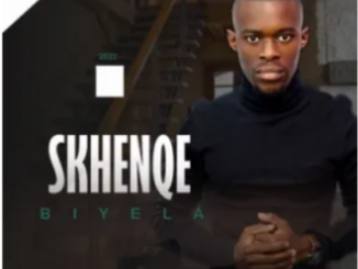 Skhenqe Biyela Front Seat Mp3 Download