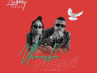 Aubrey Qwana Uhamba Nobani Mp3 Download