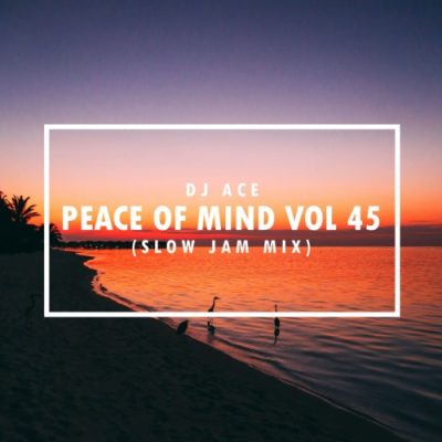 DJ Ace Peace of Mind Vol 45 Mp3 Download