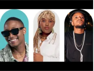 Da Muziqal Chef Soa Mp3 Download