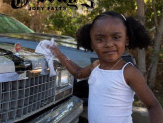 Joey Fatts What It Look Like Mp3 Download