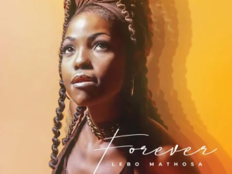 Lebo Mathosa Au Dede Remix Mp3 Download
